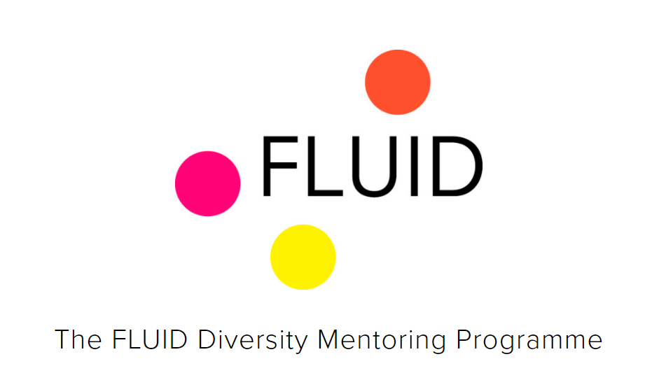 The FLUID Diversity Mentoring Programme